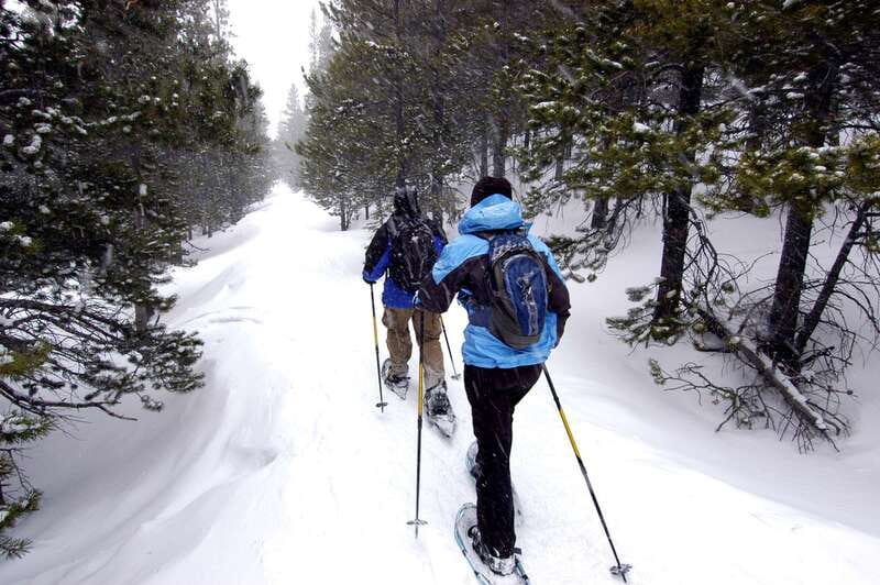 Quebec City: Jacques-Cartier National Park Snowshoeing Tour - Why this park makes a better winter escape than a city stroll
