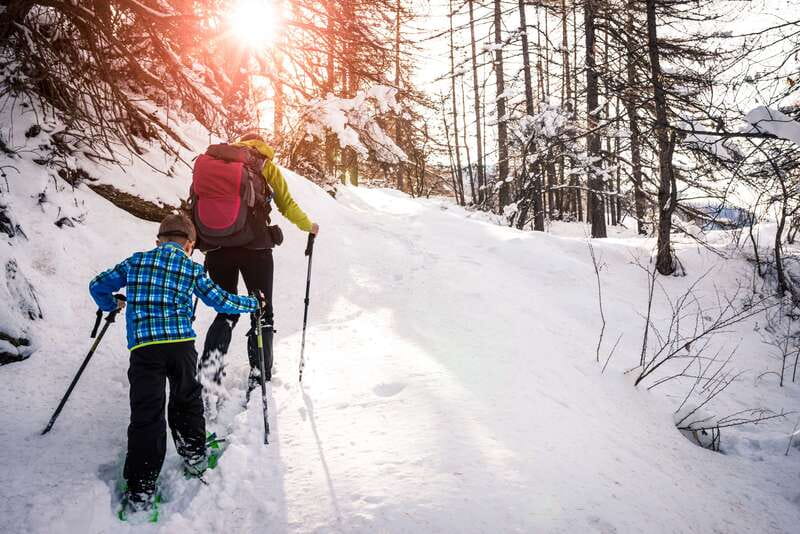 Quebec City: Jacques-Cartier National Park Snowshoeing Tour - Learning the ropes before the 10:30 a.m. walk