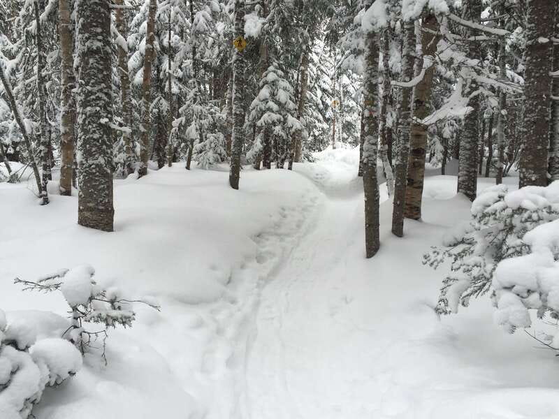 Quebec City: Jacques-Cartier National Park Snowshoeing Tour - One and a half hours to enjoy the park at your own pace