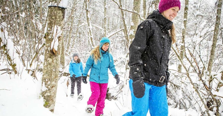 Quebec City: Jacques-Cartier National Park Snowshoeing Tour - Is $108 a fair price?