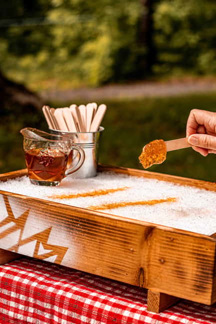 Quebec City (Lévis): self-guided sugar shack tour + meal + maple taffy - Walking among maple trees and tubing