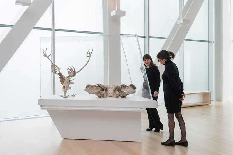 Quebec City: MNBAQ National Fine Arts Museum Entry Ticket - The Plains of Abraham Add More Than a Nice View