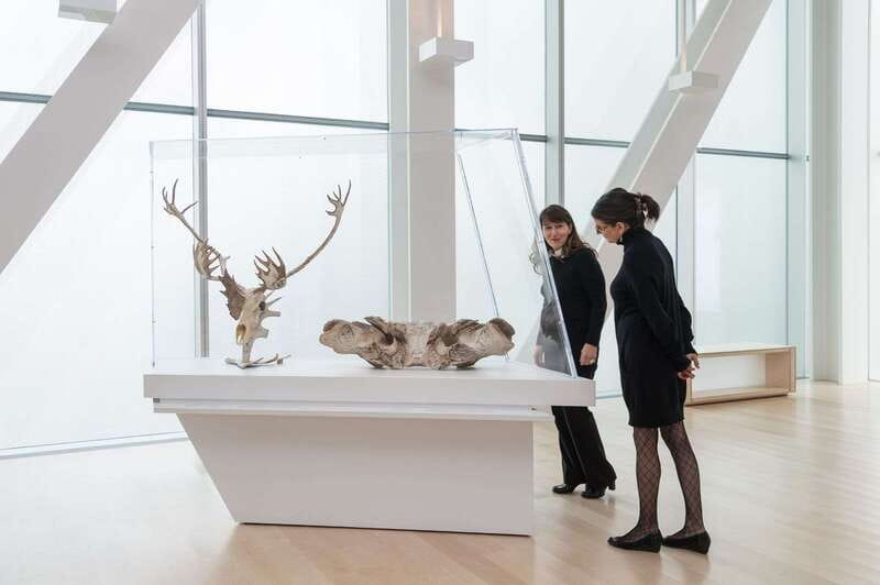 Quebec City: MNBAQ National Fine Arts Museum Entry Ticket - Starting at the Pierre Lassonde Pavilion