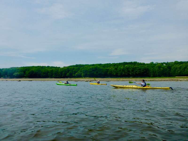 Quebec City: Sea-Kayaking Tour in Orleans Island - Paddling the coast for three hours