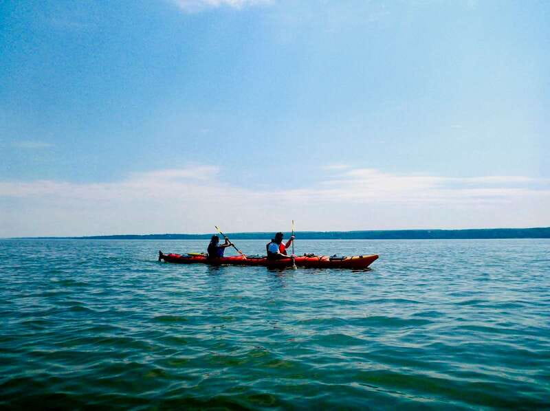 Quebec City: Sea-Kayaking Tour in Orleans Island - What the $65 price really covers