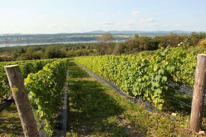 Quebec City - Tandem Bike Rental on Ile d'Orléans - Wineries, chocolate, and farm products