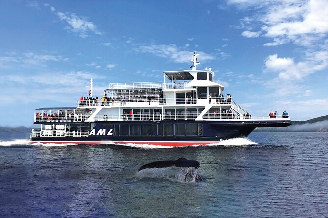 Québec City: Whale Watching Tour with Bus Transportation - The zodiac: closer, faster, and much wetter