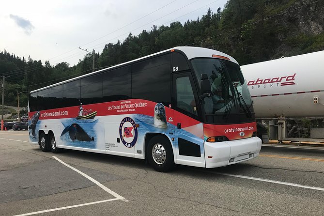 Québec City: Whale Watching Tour with Bus Transportation - The real cost at $191.39 per person
