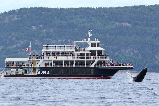 Québec City: Whale Watching Tour with Bus Transportation - Baie-Sainte-Catherine: the practical pause before the cruise