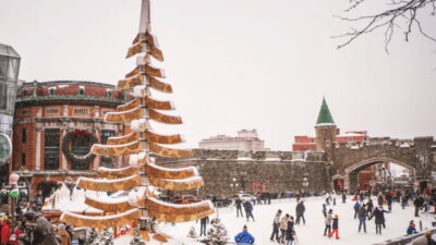 German Christmas Market Tasting Tour