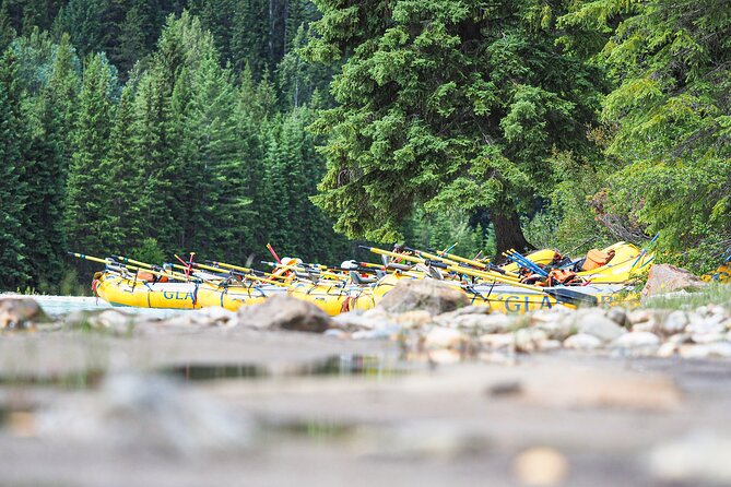 Rafting Adventure on the Kicking Horse River - Lunch, food choices, and the long-day rhythm