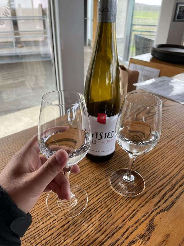 Relaxing Lunch & Wine Tour through Niagara's Wine Country - What makes this Niagara wine tour worth your time