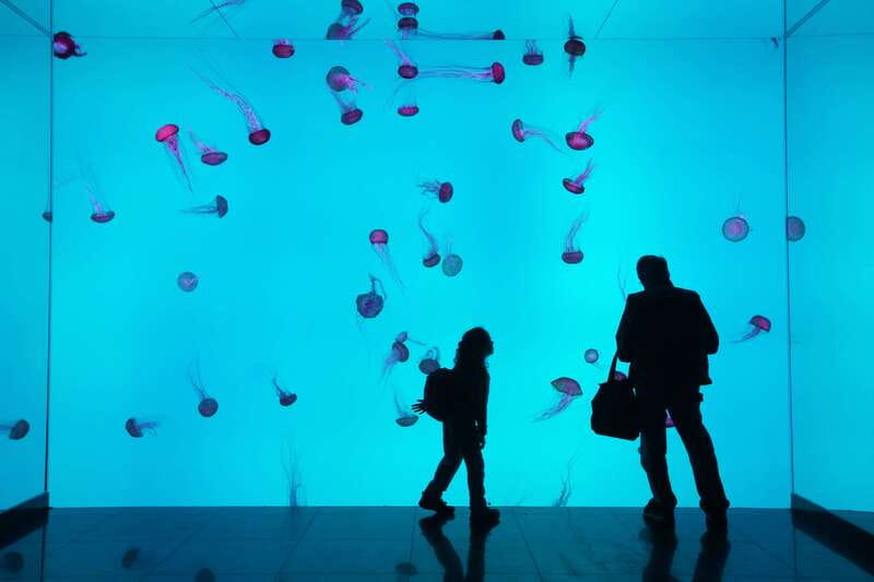 Ripley's Aquarium: Sharks After Dark Entry (After 5PM) - The nine galleries and 20,000 aquatic animals