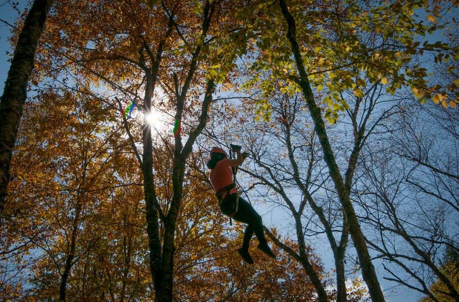 River Ziplines - Nature Tours - How the two-hour course unfolds