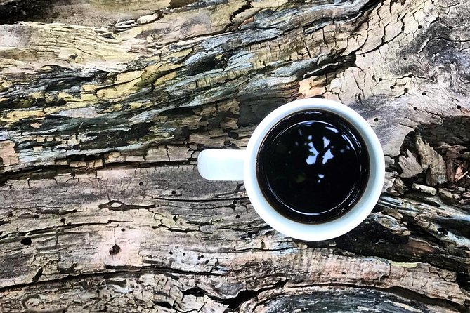 Roasting Experience at 14th Coffee Co - Is the experience worth the price?