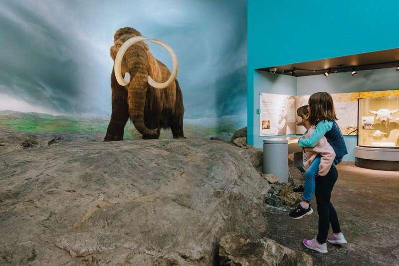 Royal B.C. Museum in Victoria: Full-Day Admission Ticket - Key points to know before you go