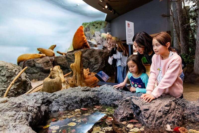 Royal B.C. Museum in Victoria: Full-Day Admission Ticket - Spend time at Jonathan Hunt House