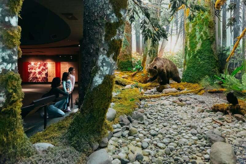Royal B.C. Museum in Victoria: Full-Day Admission Ticket - See the coastal rainforest from the inside