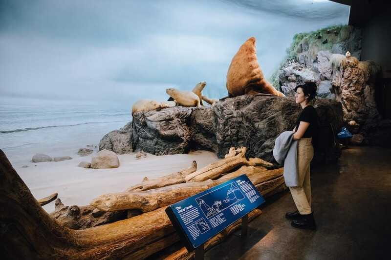 Royal B.C. Museum in Victoria: Full-Day Admission Ticket - Take a break at the Museum Cafe