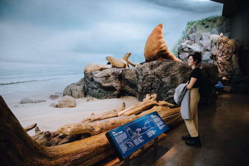 Royal B.C. Museum in Victoria: Full-Day Admission Ticket - Walk through Old Town and aboard HMS Discovery