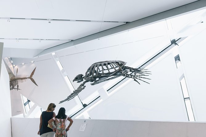 Royal Ontario Museum Admission - Ancient Egypt, Rome, and objects from across the world