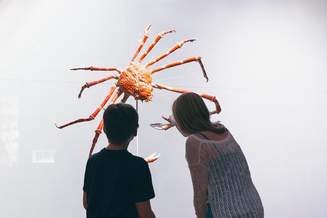 Royal Ontario Museum Admission - Food, gifts, and useful breaks inside