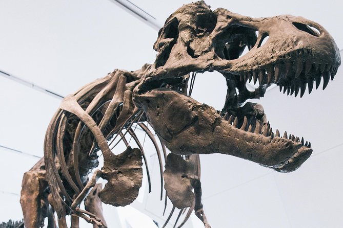 Royal Ontario Museum Admission - Entering the museum with a mobile ticket