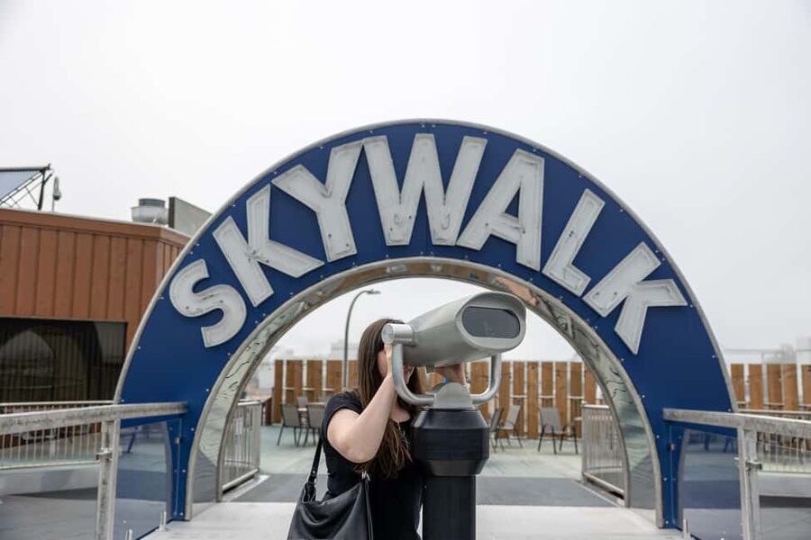 Saint John Driving Tour With Skywalk, Martello Tower & Fort - Seeing Saint John from the van