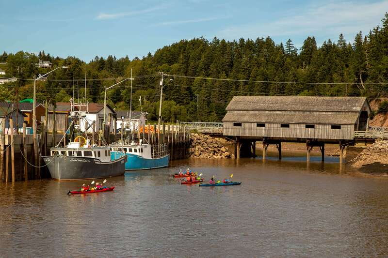 Saint John: Guided Kayaking Tour of St. Martins Sea Caves - From a quiet harbour to open Bay of Fundy water
