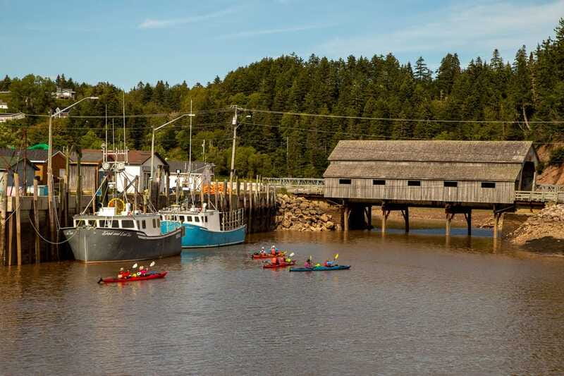 Saint John: Guided Kayaking Tour of St. Martins Sea Caves - Who should book this St. Martins kayak tour