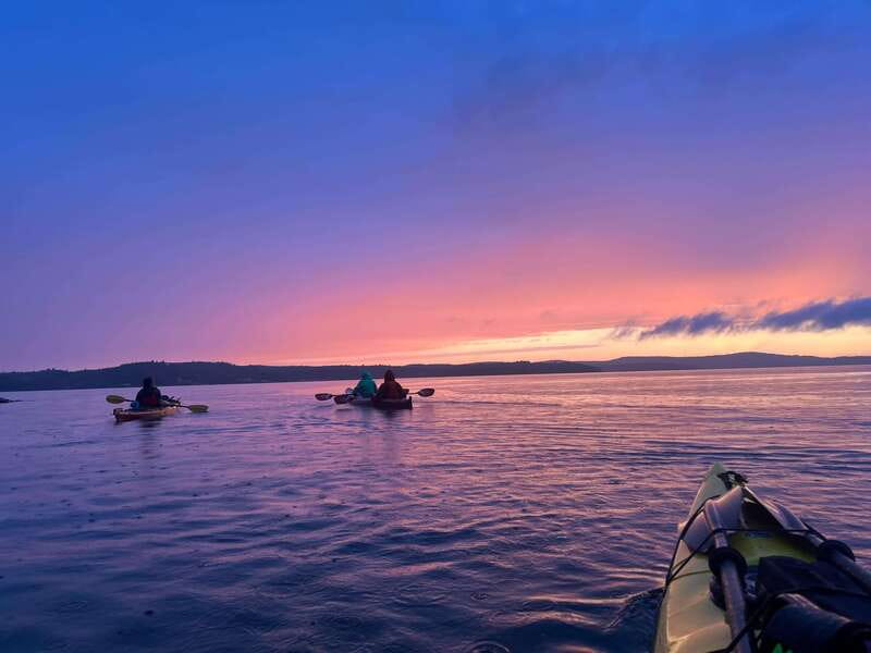 Saint John River: River Relics Kayak Tour - The price and the value of a two-hour outing