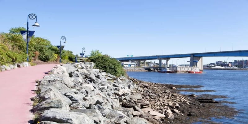 Saint John Walking Tour - What $50 means for the overall value