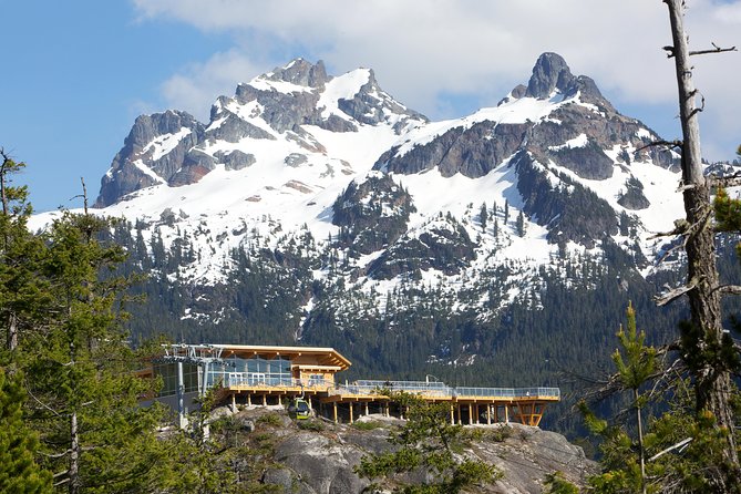 Sea to Sky Gondola Ticket - What you find at the summit