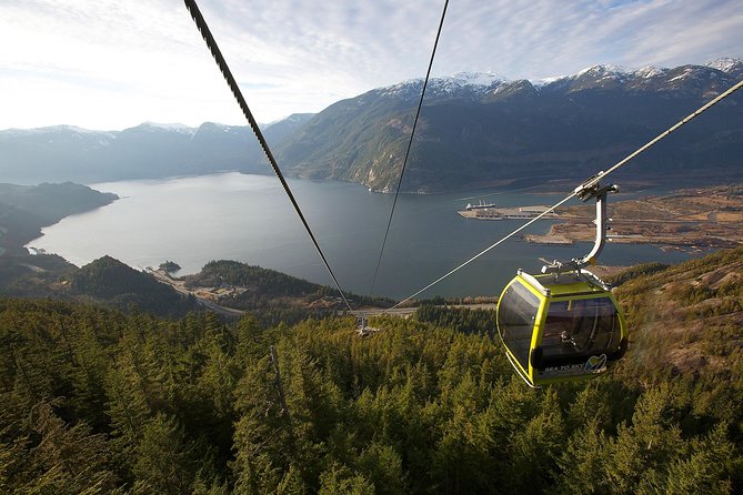 Sea to Sky Gondola Ticket - Choosing between a short walk and a real hike