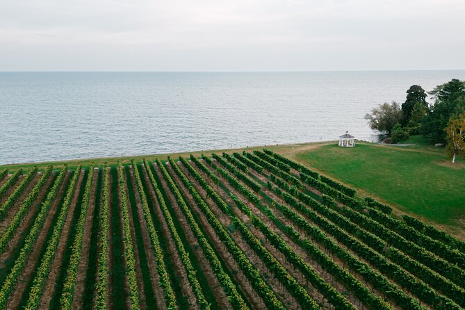 Seated Tasting Experience at Konzelmann Winery - Three Niagara wines, chosen your way
