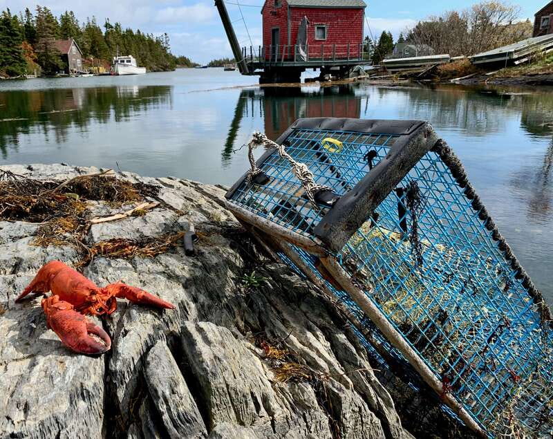 Seaweed Tours Lunenburg N.S Can UNESCO world heritage site. - Why Seaweed Tours reaches beyond Lunenburg’s pretty streets