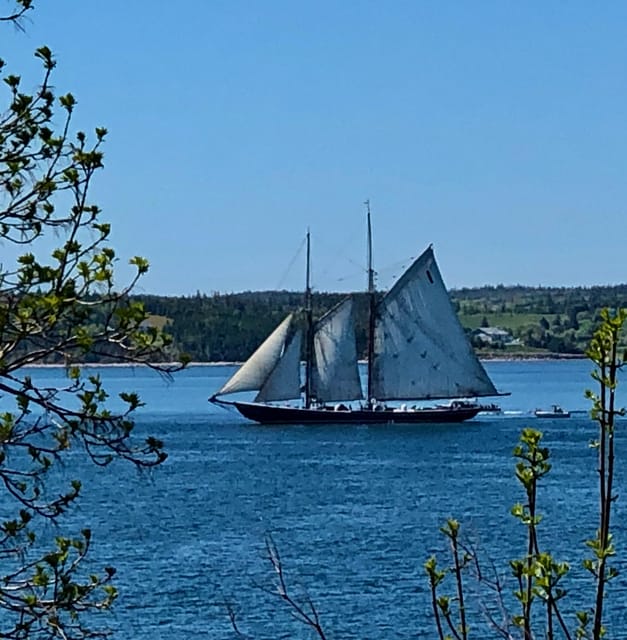 Seaweed Tours Lunenburg N.S Can UNESCO world heritage site. - Should you book Seaweed Tours Lunenburg?