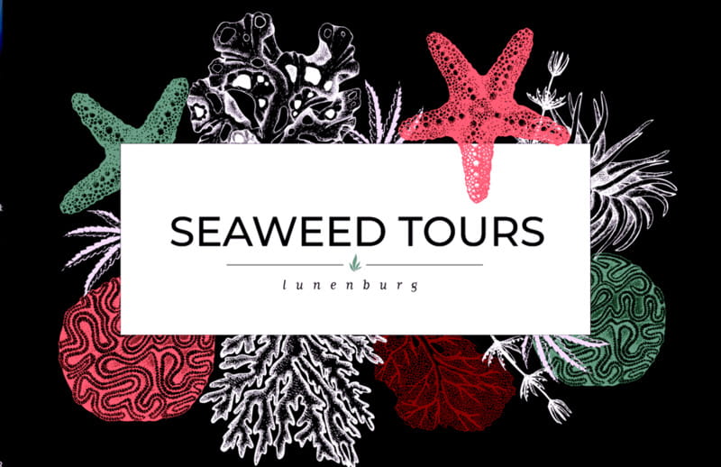 Seaweed Tours Lunenburg N.S Can UNESCO world heritage site. - Nancy’s storytelling and the local point of view