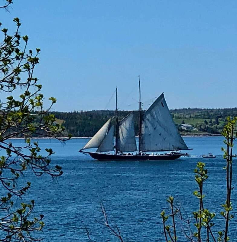 Seaweed Tours Lunenburg N.S Can UNESCO world heritage site. - Is two hours enough for the $42 price?