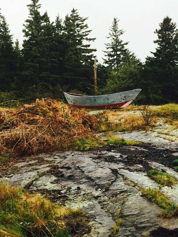 Seaweed Tours Lunenburg N.S Can UNESCO world heritage site. - Who will enjoy this outing most