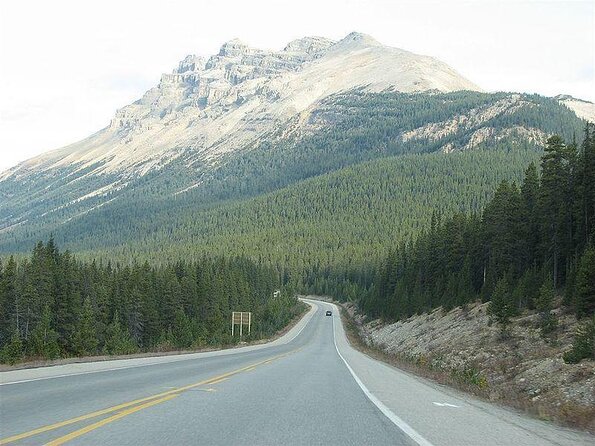 Self-Guided Audio Driving Tour in Icefields Parkway - Key points to know before you go