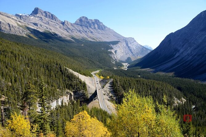 Self-Guided Audio Driving Tour in Icefields Parkway - The Weeping Wall and Peyto Lake at Bow Summit