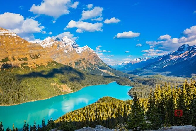 Self-Guided Audio Driving Tour in Icefields Parkway - Parker Ridge: the stop that needs honest planning