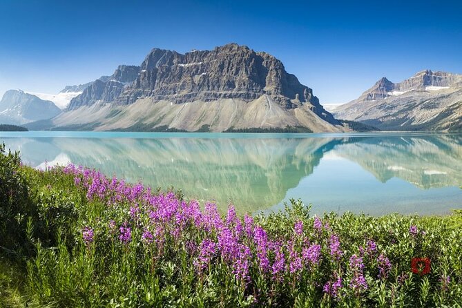 Self-Guided Audio Driving Tour in Icefields Parkway - Athabasca Glacier and the Columbia Icefield Centre