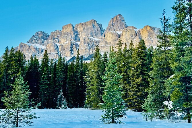 ShuttleBus 2way Banff to Lake Louise (1Hr) and Moraine Lake (1Hr) - The road to Moraine Lake