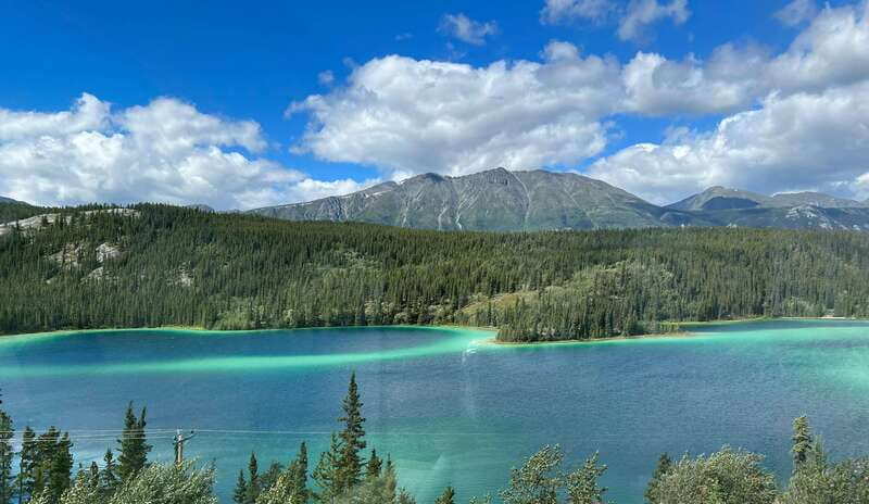 Skagway: Yukon Dog Mushing & Sightseeing Tour - Key points to know before booking