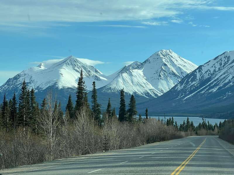 Skagway: Yukon Dog Mushing & Sightseeing Tour - From Skagway to the Yukon in one long day