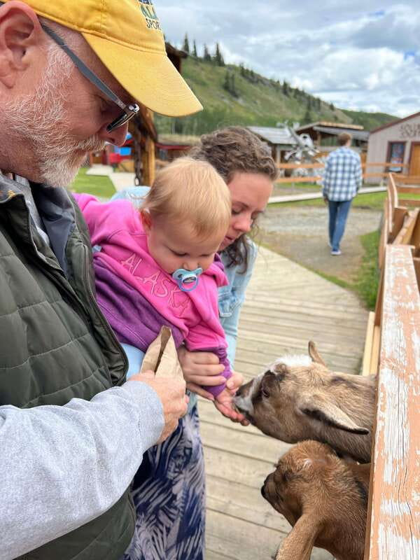 Skagway: Yukon Dog Mushing & Sightseeing Tour - Caribou Crossing and the working sled dogs