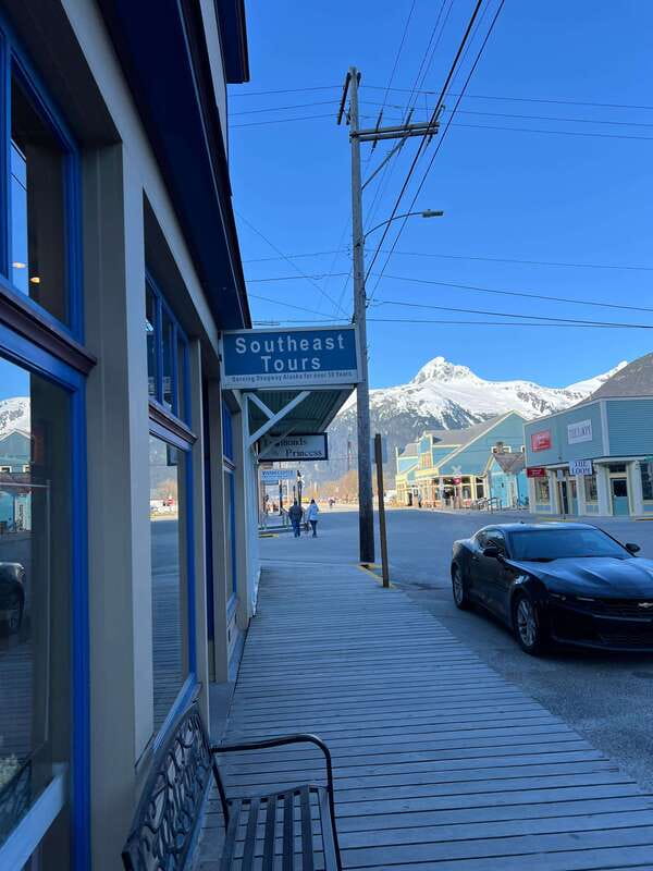 Skagway: Yukon Dog Mushing & Sightseeing Tour - Who should book this Yukon dog-mushing tour?