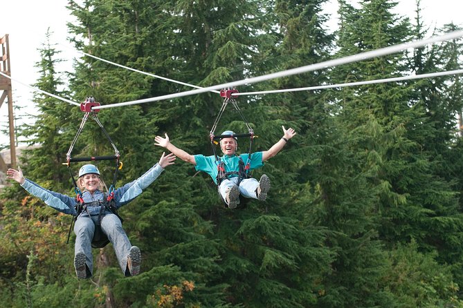 Small Group Tour: Capilano Suspension Bridge and Grouse Mountain from Vancouver - The real value of $217.78